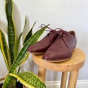 Everlane The Modern Oxford in Oxblood